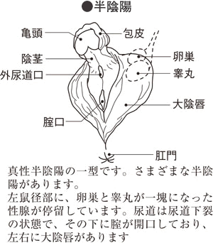 家庭の医学