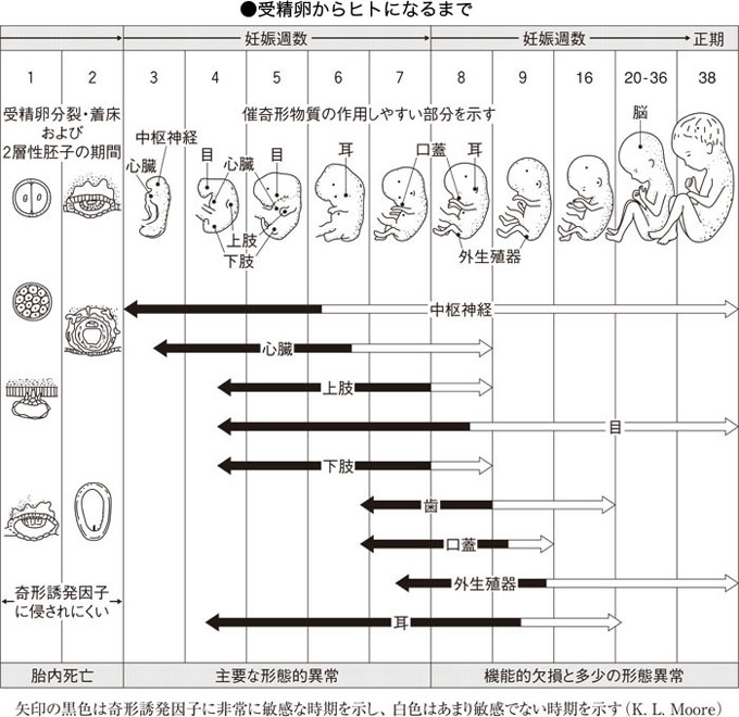 家庭の医学